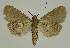  ( - BC EF Alc 01462)  @13 [ ] Copyright (2010) Unspecified Research Collection of Egbert Friedrich