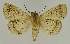  ( - BC EF Alc 01464)  @14 [ ] Copyright (2010) Unspecified Research Collection of Egbert Friedrich