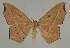  ( - BC EF Alc 01465)  @14 [ ] Copyright (2010) Unspecified Research Collection of Egbert Friedrich