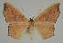  ( - BC EF Alc 01465)  @14 [ ] Copyright (2010) Unspecified Research Collection of Egbert Friedrich