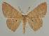  ( - BC EF Alc 01477)  @13 [ ] Copyright (2010) Unspecified Research Collection of Egbert Friedrich