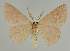  ( - BC EF Alc 01477)  @13 [ ] Copyright (2010) Unspecified Research Collection of Egbert Friedrich