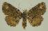  (CatadaNAG - BC EF Alc 01478)  @14 [ ] Copyright (2010) Unspecified Research Collection of Egbert Friedrich