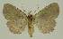  ( - BC EF Alc 01478)  @13 [ ] Copyright (2010) Unspecified Research Collection of Egbert Friedrich