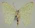 ( - BC EF Alc 01480)  @13 [ ] Copyright (2010) Unspecified Research Collection of Egbert Friedrich