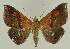  ( - BC EF Alc 01490)  @14 [ ] Copyright (2010) Unspecified Research Collection of Egbert Friedrich