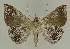 ( - BC EF Alc 01490)  @13 [ ] Copyright (2010) Unspecified Research Collection of Egbert Friedrich