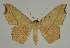  ( - BC EF Alc 01501)  @13 [ ] Copyright (2010) Unspecified Research Collection of Egbert Friedrich