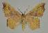  ( - BC EF Alc 01501)  @13 [ ] Copyright (2010) Unspecified Research Collection of Egbert Friedrich