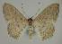  ( - BC EF Alc 01504)  @13 [ ] Copyright (2010) Unspecified Research Collection of Egbert Friedrich