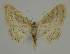  ( - BC EF Alc 01506)  @13 [ ] Copyright (2010) Unspecified Research Collection of Egbert Friedrich