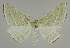  ( - BC EF Alc 01511)  @14 [ ] Copyright (2010) Unspecified Research Collection of Egbert Friedrich