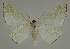  ( - BC EF Alc 01511)  @13 [ ] Copyright (2010) Unspecified Research Collection of Egbert Friedrich