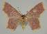  ( - BC EF Alc 01516)  @13 [ ] Copyright (2010) Unspecified Research Collection of Egbert Friedrich