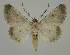  ( - BC EF Alc 01517)  @13 [ ] Copyright (2010) Unspecified Research Collection of Egbert Friedrich