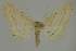  ( - BC EF Alc 01520)  @11 [ ] Copyright (2010) Unspecified Research Collection of Egbert Friedrich