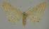  ( - BC EF Alc 01521)  @11 [ ] Copyright (2010) Unspecified Research Collection of Egbert Friedrich