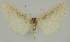 ( - BC EF Alc 01521)  @11 [ ] Copyright (2010) Unspecified Research Collection of Egbert Friedrich
