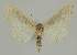  ( - BC EF Alc 01522)  @13 [ ] Copyright (2010) Unspecified Research Collection of Egbert Friedrich