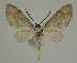  ( - BC EF Alc 01526)  @12 [ ] Copyright (2010) Unspecified Research Collection of Egbert Friedrich
