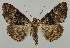  ( - BC EF Alc 01529)  @14 [ ] Copyright (2010) Unspecified Research Collection of Egbert Friedrich