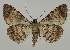  ( - BC EF Alc 01529)  @14 [ ] Copyright (2010) Unspecified Research Collection of Egbert Friedrich