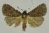  ( - BC EF Alc 01533)  @13 [ ] Copyright (2010) Unspecified Research Collection of Egbert Friedrich