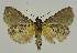  ( - BC EF Alc 01533)  @13 [ ] Copyright (2010) Unspecified Research Collection of Egbert Friedrich