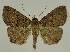  ( - BC EF Alc 01534)  @14 [ ] Copyright (2010) Unspecified Research Collection of Egbert Friedrich