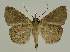  ( - BC EF Alc 01534)  @13 [ ] Copyright (2010) Unspecified Research Collection of Egbert Friedrich