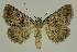  ( - BC EF Alc 01536)  @14 [ ] Copyright (2010) Unspecified Research Collection of Egbert Friedrich