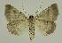  ( - BC EF Alc 01536)  @12 [ ] Copyright (2010) Unspecified Research Collection of Egbert Friedrich