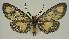  ( - BC EF Alc 01538)  @12 [ ] Copyright (2010) Unspecified Research Collection of Egbert Friedrich