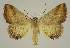  ( - BC EF Alc 01550)  @14 [ ] Copyright (2010) Unspecified Research Collection of Egbert Friedrich