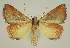  ( - BC EF Alc 01550)  @14 [ ] Copyright (2010) Unspecified Research Collection of Egbert Friedrich