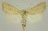  ( - BC EF Alc 01551)  @13 [ ] Copyright (2010) Unspecified Research Collection of Egbert Friedrich