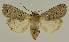  ( - BC EF Alc 01554)  @14 [ ] Copyright (2010) Unspecified Research Collection of Egbert Friedrich