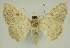 ( - BC EF Alc 01564)  @13 [ ] Copyright (2010) Unspecified Research Collection of Egbert Friedrich
