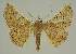  ( - BC EF Alc 01567)  @14 [ ] Copyright (2010) Unspecified Research Collection of Egbert Friedrich