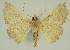  ( - BC EF Alc 01567)  @13 [ ] Copyright (2010) Unspecified Research Collection of Egbert Friedrich