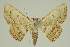  ( - BC EF Alc 01568)  @12 [ ] Copyright (2010) Unspecified Research Collection of Egbert Friedrich