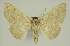  ( - BC EF Alc 01568)  @12 [ ] Copyright (2010) Unspecified Research Collection of Egbert Friedrich