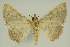  ( - BC EF Alc 01569)  @13 [ ] Copyright (2010) Unspecified Research Collection of Egbert Friedrich