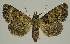  ( - BC EF Alc 01572)  @13 [ ] Copyright (2010) Unspecified Research Collection of Egbert Friedrich