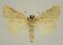 ( - BC EF Alc 01575)  @13 [ ] Copyright (2010) Unspecified Research Collection of Egbert Friedrich