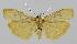  ( - BC EF Lep 01377)  @13 [ ] Copyright (2010) Unspecified Research Collection of Egbert Friedrich