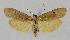  ( - BC EF Lep 01382)  @13 [ ] Copyright (2010) Unspecified Research Collection of Egbert Friedrich