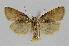  ( - BC EF Lep 01391)  @12 [ ] Copyright (2010) Unspecified Research Collection of Egbert Friedrich