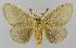  ( - BC EF Lep 01619)  @13 [ ] Copyright (2010) Unspecified Research Collection of Egbert Friedrich