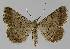  ( - BC EF Alc 00120)  @14 [ ] Copyright (2010) Unspecified Research Collection of Egbert Friedrich